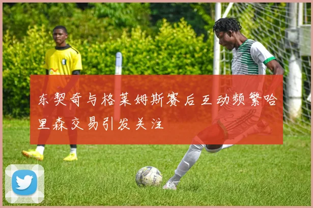 东契奇与格莱姆斯赛后互动频繁哈里森交易引发关注