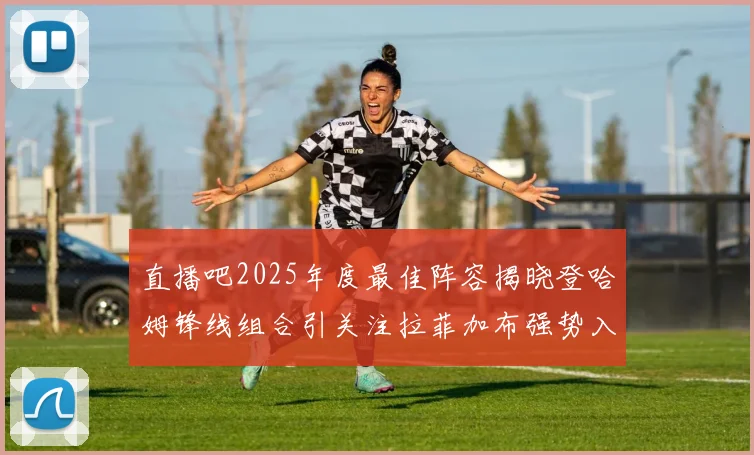 直播吧2025年度最佳阵容揭晓登哈姆锋线组合引关注拉菲加布强势入选